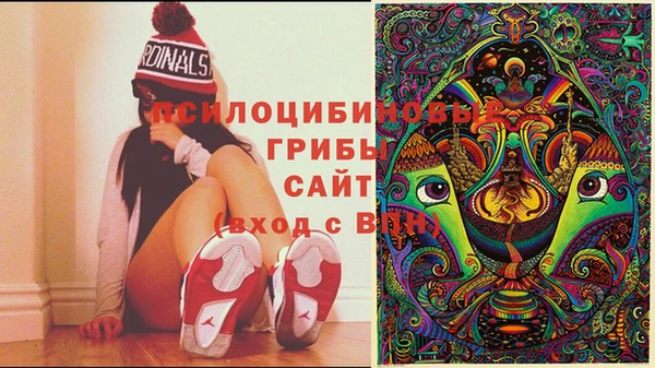 прущие грибы Алзамай