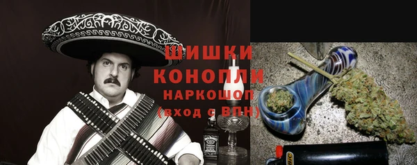 прущие грибы Алзамай