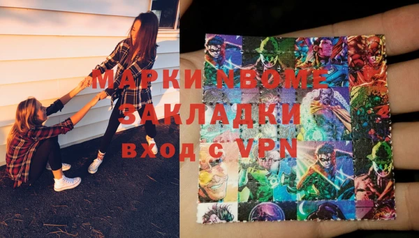 прущие грибы Алзамай