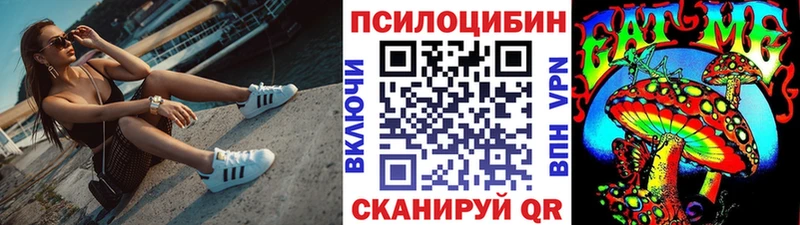 kraken   Дно  Галлюциногенные грибы MAGIC MUSHROOMS 